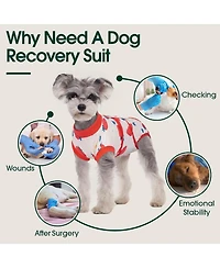 Breathable Stretch-Knit Post-Surgery Recovery Suit and Cone Alternative Onesie for Dogs