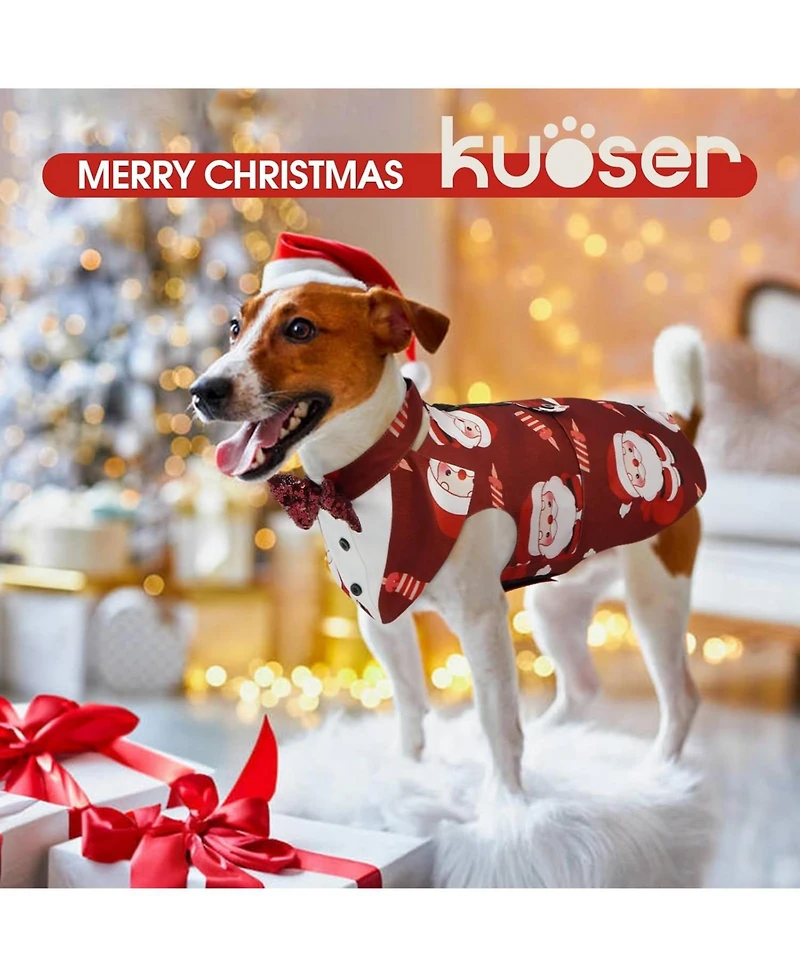 Formal Tuxedo and Bandana Two-Piece Set with Detachable Bowtie Collar and D-Ring for Dogs