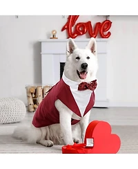 Formal Tuxedo and Bandana Two-Piece Set with Detachable Bowtie Collar for Dogs