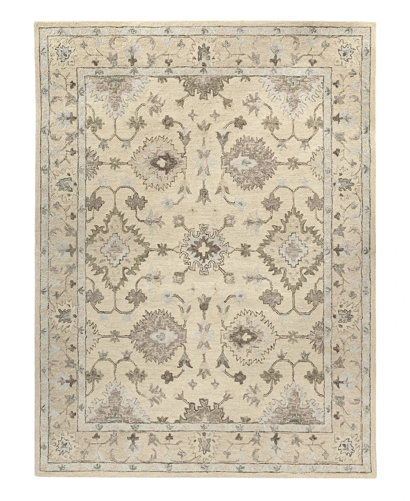 Lr Home Caradoc Amb-106 5'9" x 8'9" Area Rug