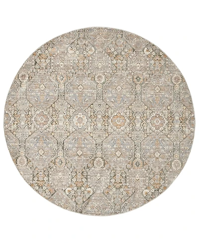 Lr Home Garza Vio- 6'6" x 6'6" Round Area Rug
