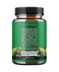 Mav Nutrition Tea Extract Capsules 500 Milligram with Egcg and Naturally Occurring Caffeine, 60 Count