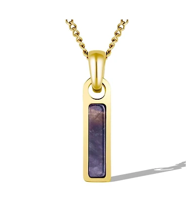 Vincero Men's Birthstone Tag Necklace - Gold Pendant