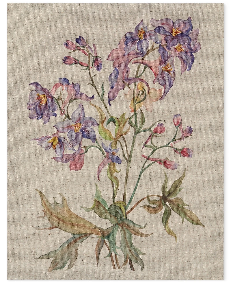 Madison Park Linen Botanicals 3-Pc. Canvas Print Set