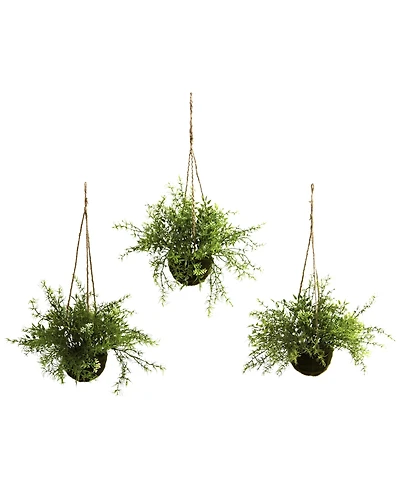 Nearly Natural 3-Pc. Mini Ruscus Sedum & Sperengeri Hanging Basket Set