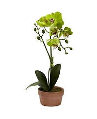 Nearly Natural 4-Pc. Phalaenopsis Orchid Set with Clay Vases