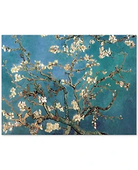 Vincent van Gogh 'Almond Blossoms' Canvas Art