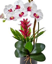 Nearly Natural Orchid & Bromeliad Artificial Arrangement in Glossy Black Cylinder Vase