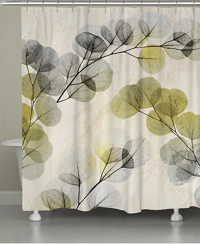 Laural Home Smoky X-Ray of Eucalyptus Leaves Shower Curtain, 71" x 72"