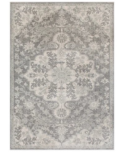 Livabliss Harput Hap-1070 Light Gray 2' x 3' Area Rug