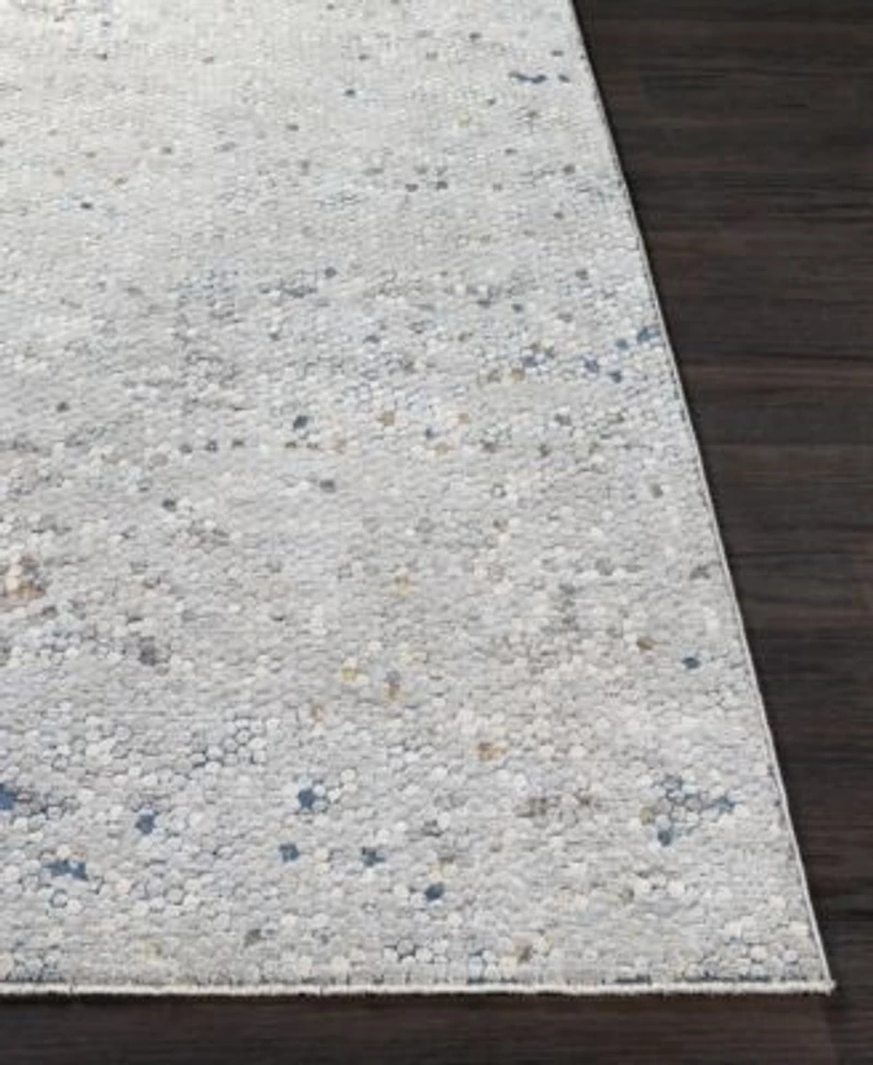 Livabliss Presidential Pdt 2312 Area Rug Collection