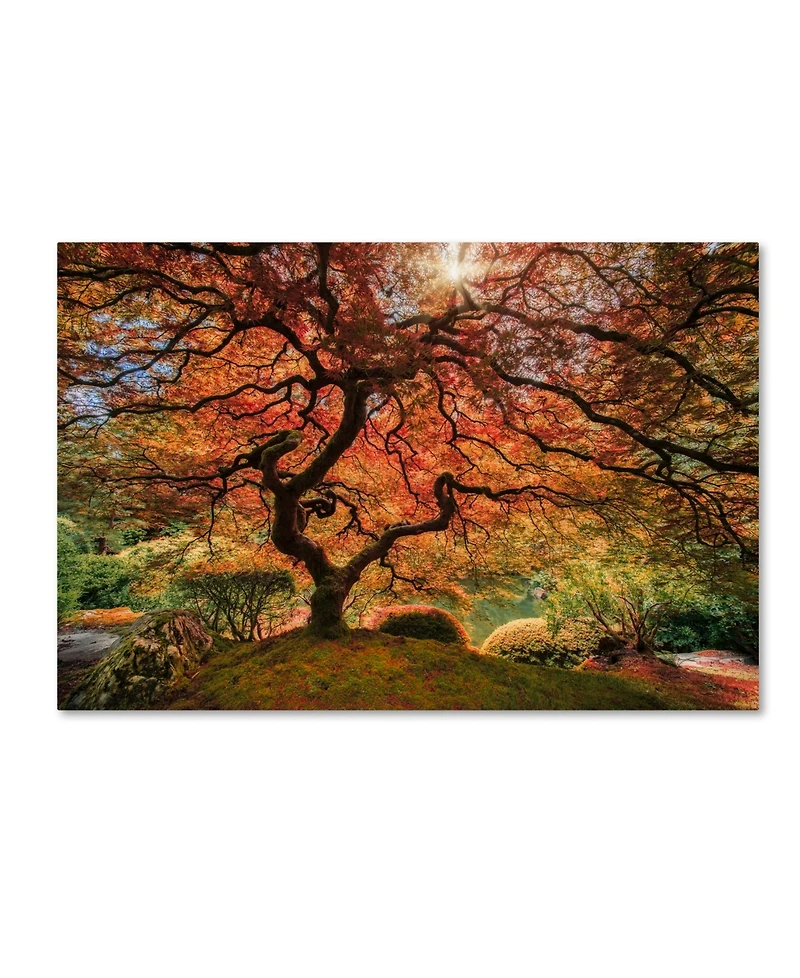 Moises Levy 'The Tree Horizontal' Canvas Art - 12" x 19"