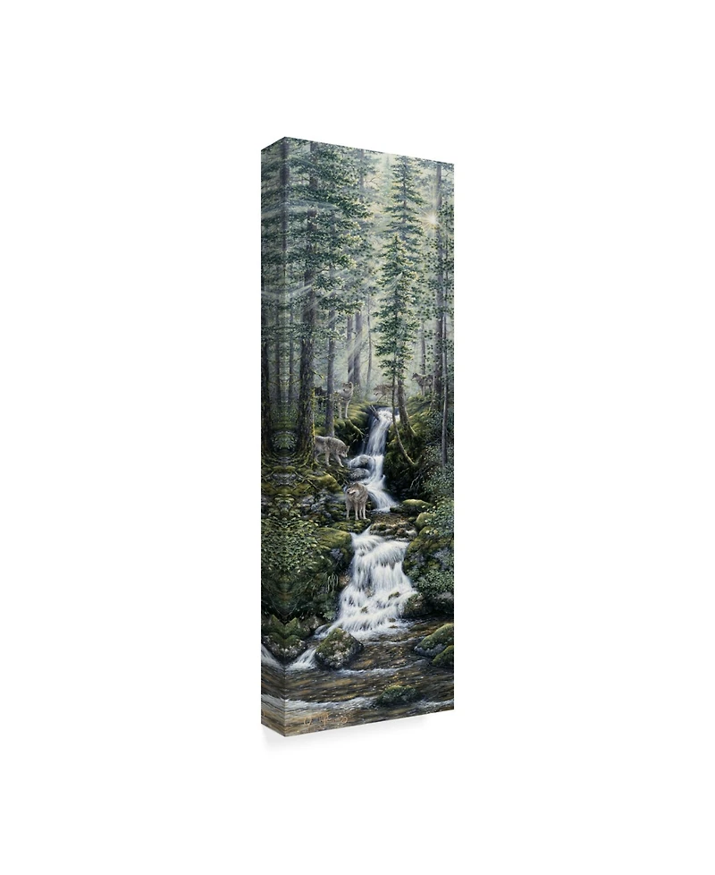 Jeff Tift 'Cascade Wolves' Canvas Art - 6" x 19"