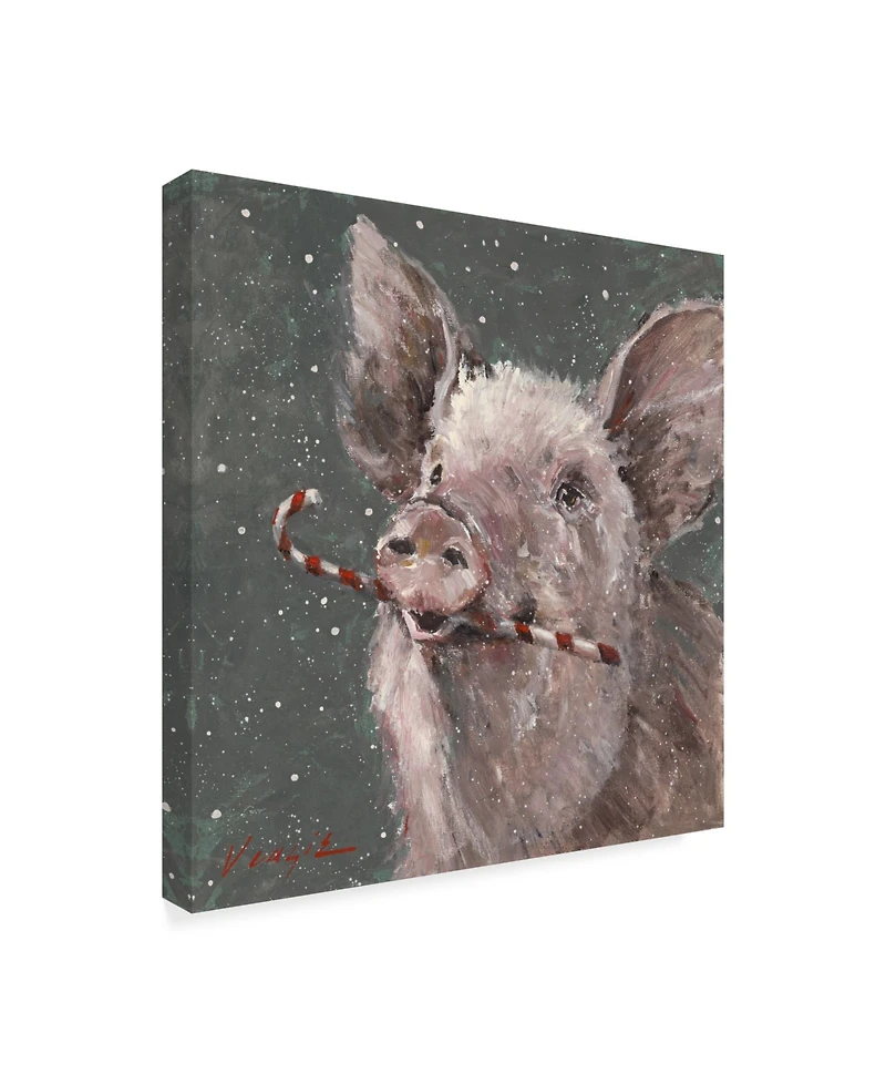 Mary Miller Veazie 'Teri The Christmas Pig' Canvas Art - 14" x 14"