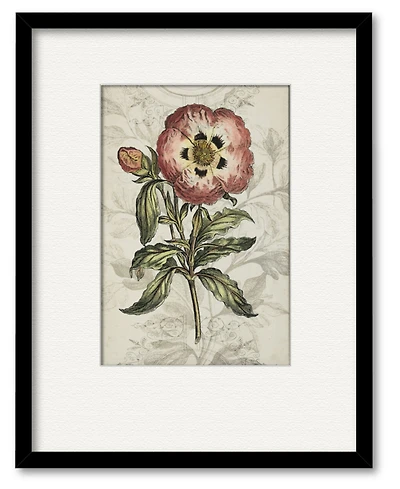 Courtside Market Treasures of The Earth Ii 16" x 20" Framed and Matted Art
