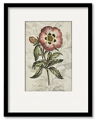 Courtside Market Treasures of The Earth Ii 16" x 20" Framed and Matted Art