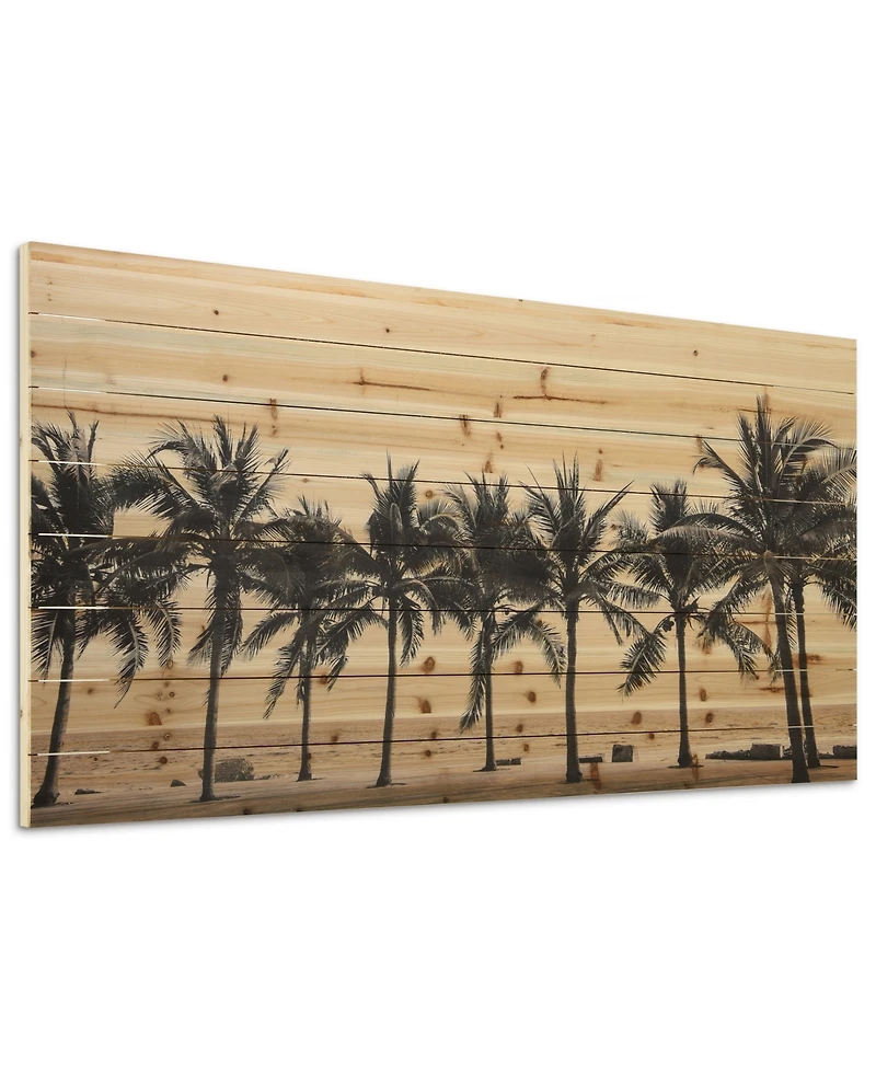 Empire Art Direct 'Solitary Beach' Arte De Legno Digital Print on Solid Wood Wall Art - 30" x 60"