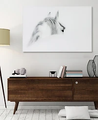 Empire Art Direct 'Blanco Mare Horse' Frameless Free Floating Tempered Glass Panel Graphic Wall Art - 48" x 32''