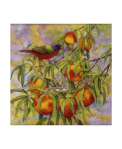 Marcia Matcham Painted Bunting and Peaches Canvas Art - 27" x 33"