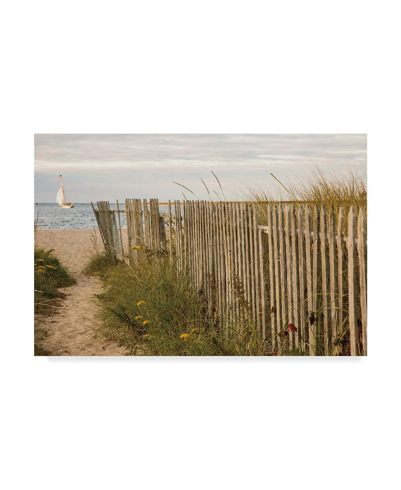 Aledanda Along the Beach Fence Ii Canvas Art - 20" x 25"