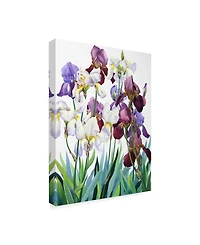 Christopher Ryland White and Purple Irises Canvas Art - 15" x 20"