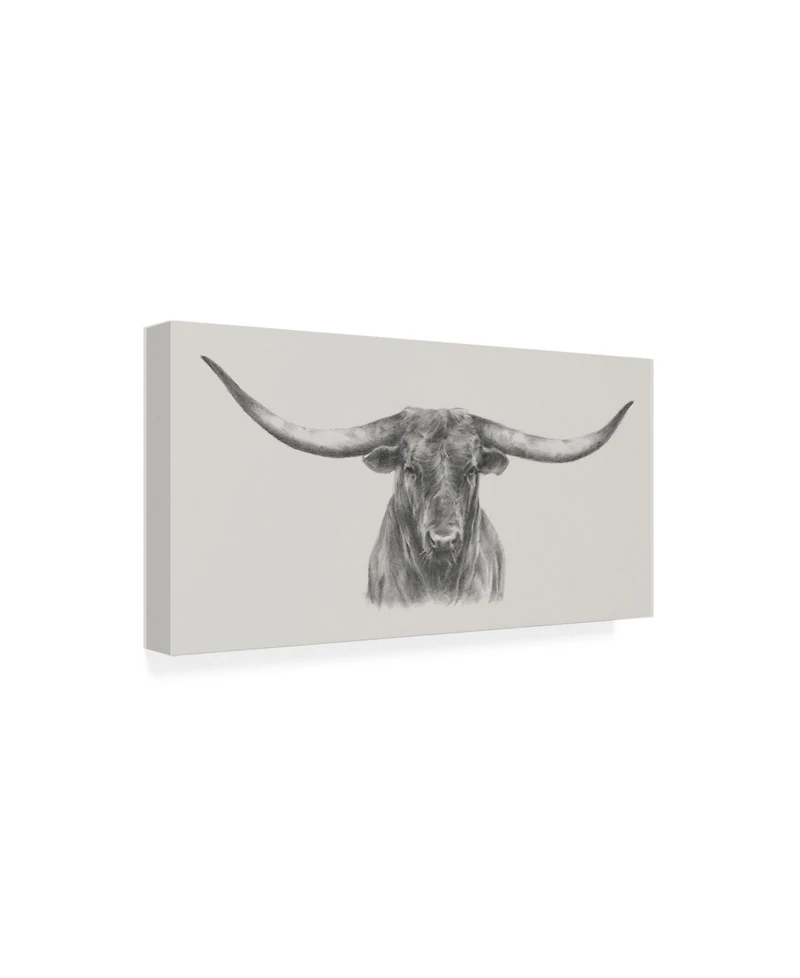 Ethan Harper Longhorn Bull Canvas Art - 37" x 49"