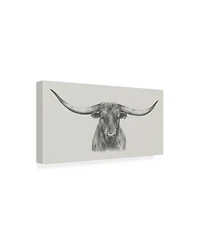 Ethan Harper Longhorn Bull Canvas Art - 37" x 49"