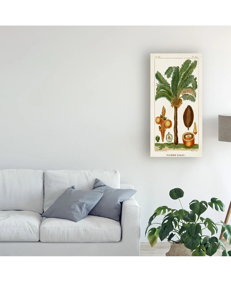 Turpin Turpin Exotic Palms Vii Canvas Art - 20" x 25"