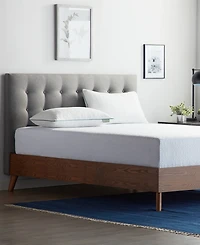 Lucid Dream Collection Shredded Memory Foam 2-Pack Pillow, King