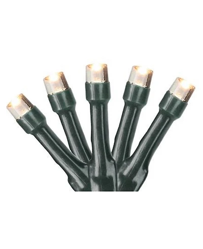 Northlight Set of 20 Battery Operated Warm White Led Wide Angle Christmas Lights - Green Wire