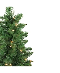 Northlight Set of 2 Pre-Lit Whitmire Pine Potted Artificial Christmas Trees 4' - Clear Lights