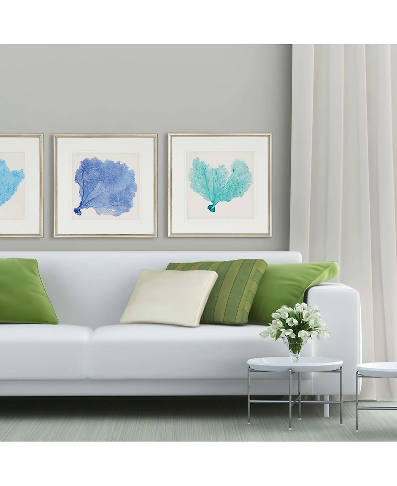 Paragon Sea Fan Ii Framed Wall Art Set of 3, 25" x 25"