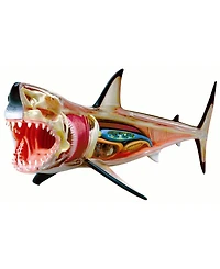 4D Master 4D Vision Great White Shark Anatomy Model