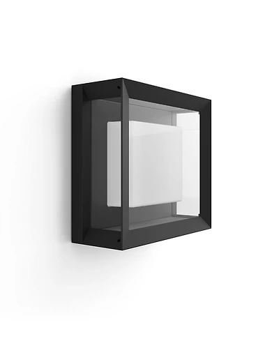 Philips Hue White and Color Ambiance Econic Outdoor Wall and Ceiling Light - Black