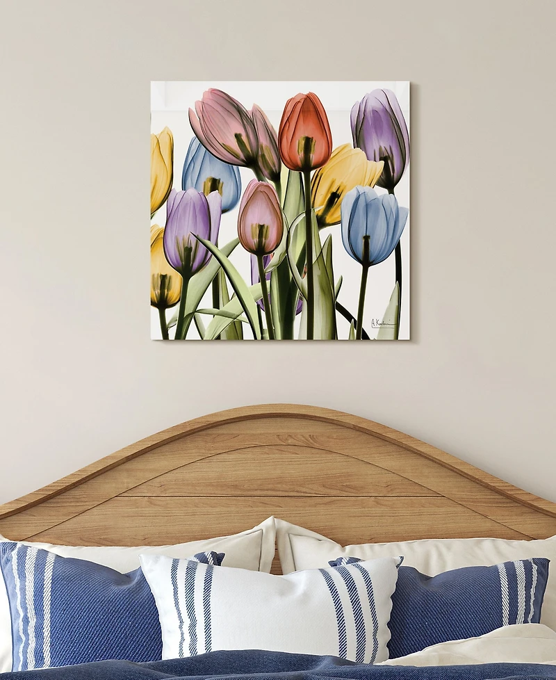 Empire Art Direct Tulip Scape x-ray Ii Frameless Free Floating Tempered Glass Panel Graphic Wall Art, 24" x 24" x 0.2"