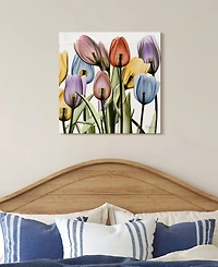 Empire Art Direct Tulip Scape x-ray Ii Frameless Free Floating Tempered Glass Panel Graphic Wall Art, 24" x 24" x 0.2"