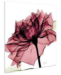 Empire Art Direct Chianti Rose I Frameless Free Floating Tempered Glass Panel Graphic Wall Art, 24" x 24" x 0.2"