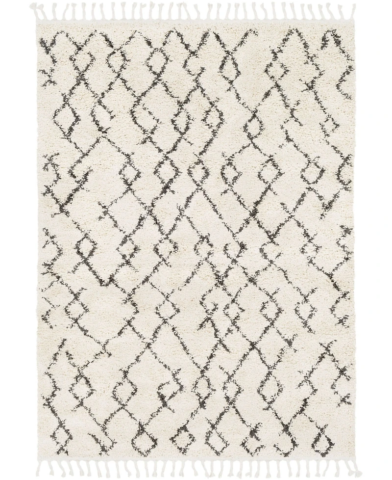 Livabliss Berber Shag Bbe- Charcoal 5'3" x 7'3" Area Rug