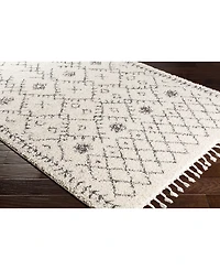 Livabliss Berber Shag Bbe- Charcoal 5'3" x 7'3" Area Rug