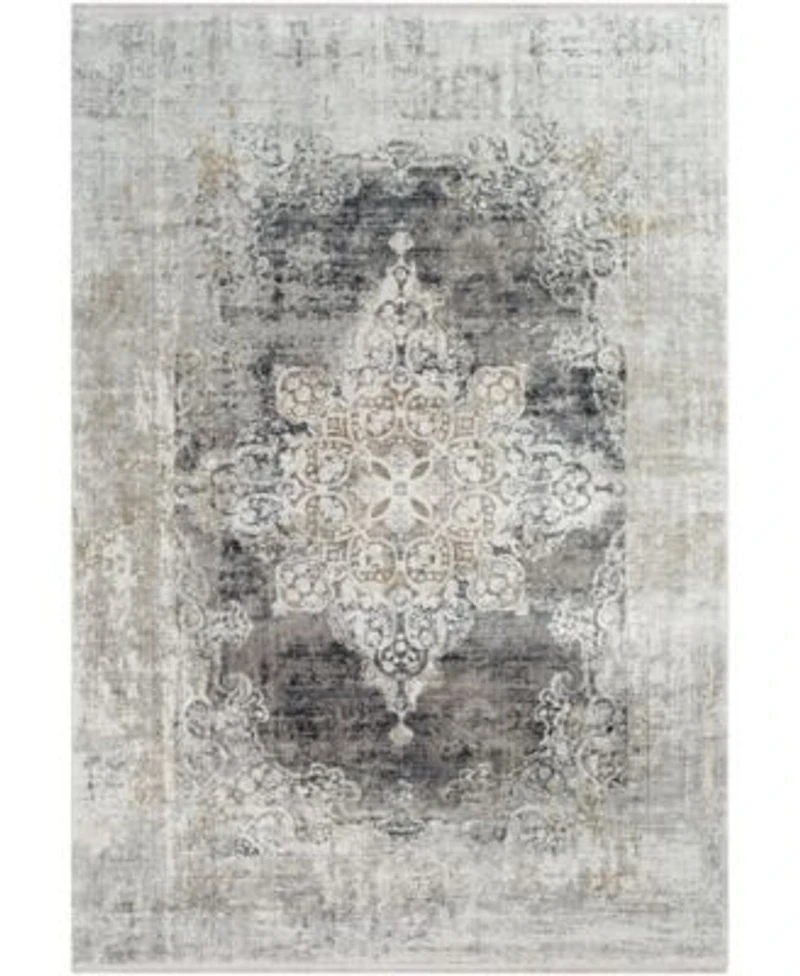 Surya Solar Sor 2305 Charcoal Rug