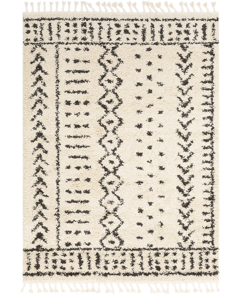 Livabliss Berber Shag Bbe-2311 Charcoal 3'11" x 5'7" Area Rug