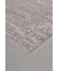 Feizy Cadiz R3888 Silver 3'1" x 5' Area Rug