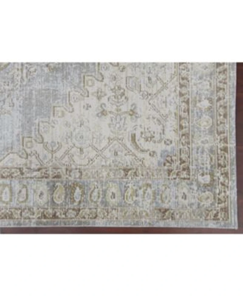 Amer Rugs Century Cen 11 Gray Ivory Area Rug Collection