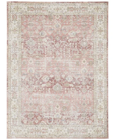 Amer Rugs Century Cen-8 Salmon 3'11" x 5'11" Area Rug