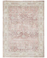 Amer Rugs Century Cen-8 Salmon 3'11" x 5'11" Area Rug