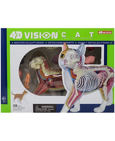 4D Master 4D Vision Orange Cat Anatomy Model