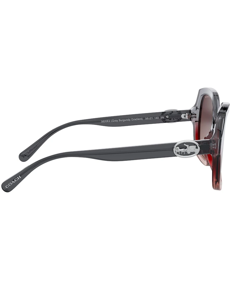 Coach Sunglasses, 0HC8295