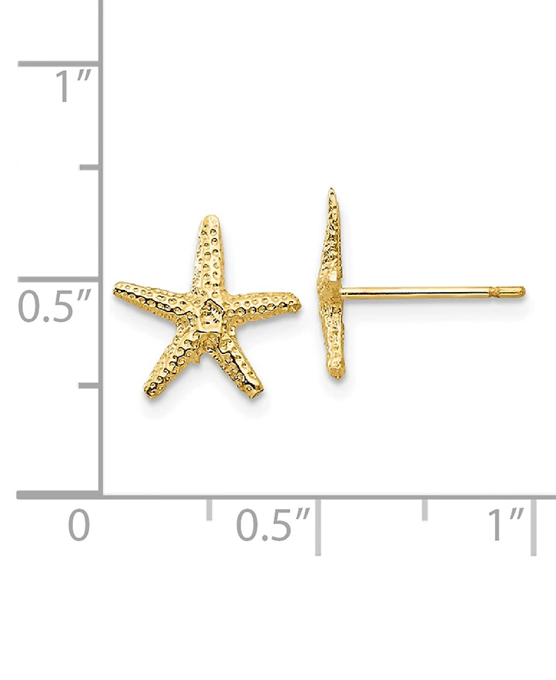 Starfish Stud Earrings in 14k Gold