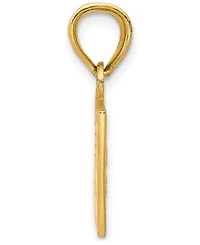 Usa Flag Charm Pendant in 14k Yellow Gold & Enamel