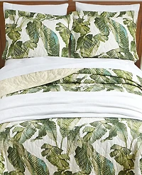 Tommy Bahama Home Fiesta Palms Cotton Reversible 3 Piece Quilt Set